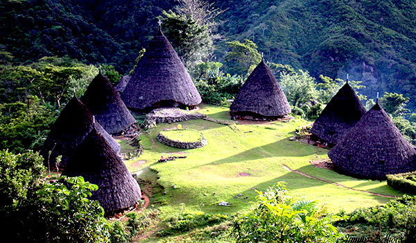 The place where you can feel the peaceful and healthy oxygen in the middle huge tropical forest.